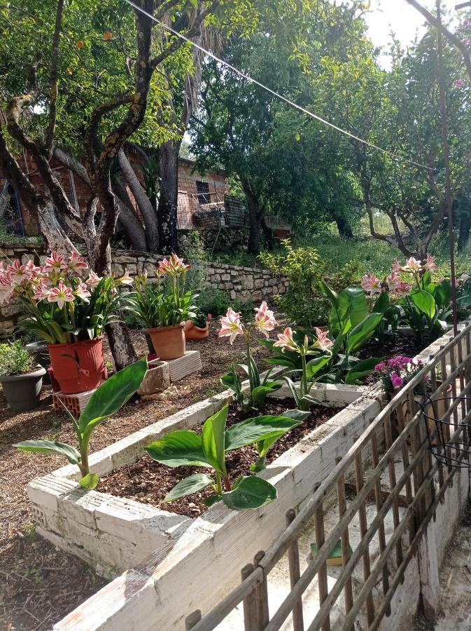Villa Lidi Stavros  Екстер'єр фото
